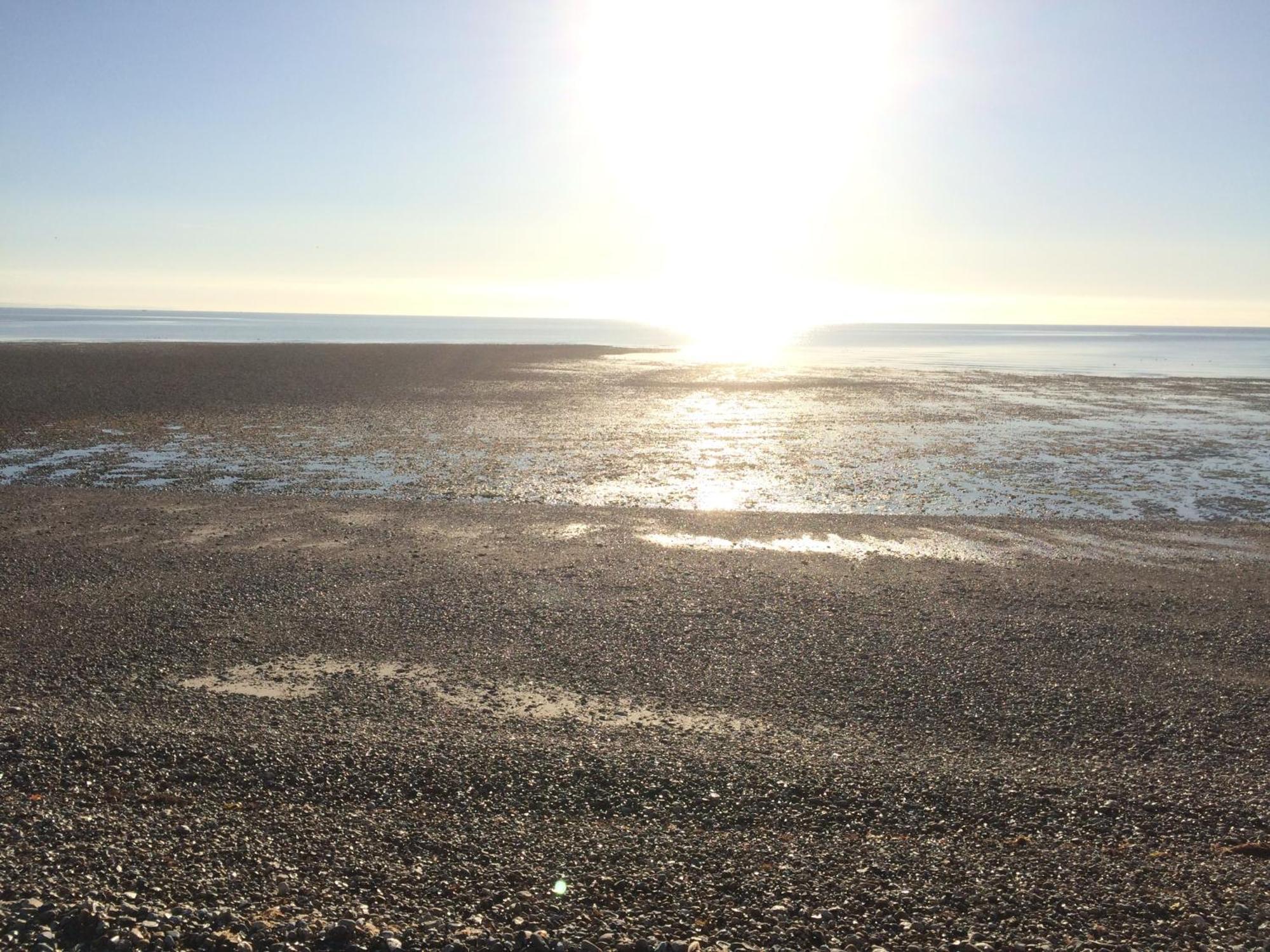 Stay At 'The Elms' In Tranquil Church Norton, Selsey - Ground Floor Bedroom, Own Private Bathroom, Quiet Beach, 2 Acre Garden By The Sea, On Edge Of Wildlife Nature Reserve Zewnętrze zdjęcie